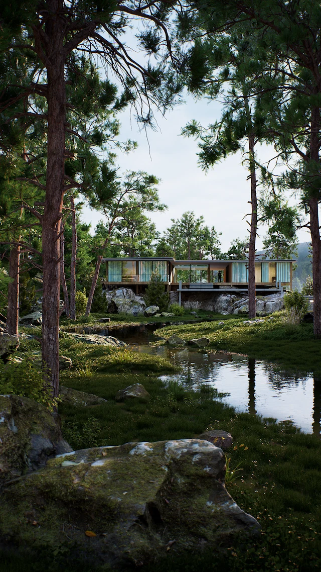 Renderings with D5
